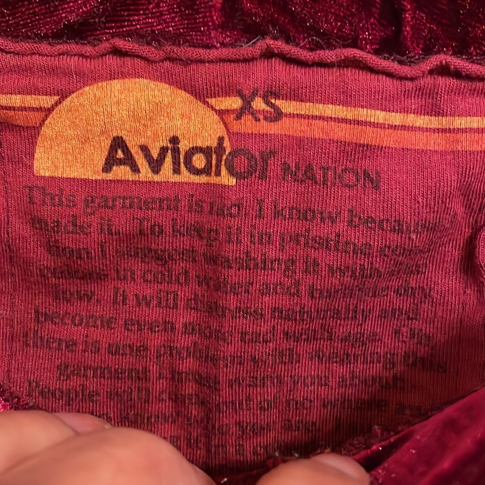 Aviator Nation Velvet Joggers . Excellent condition . - Picture 4 of 8